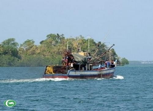 ฟิลิปปินส์ประกาศห้ามจับปลาในเขตเกาะสการ์โบโรห์ - ảnh 1