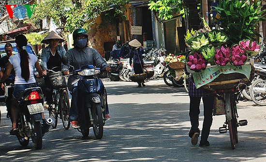 ภาพดอกบัวที่สวยงามในกรุงฮานอย - ảnh 9