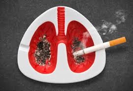 WHOเตือนว่า  จำนวนผู้เสียชีวิตจาการสุบบุหรี่เพิ่มขึ้นเป็น ๑พันล้านคนในศตวรรษ๒๑   - ảnh 1