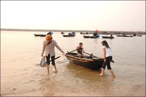 เกาะBạch Long Vĩ - ảnh 8