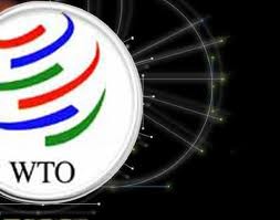 รัสเซียเข้าเป็นสมาชิกของWTO อย่างเป็นทางการ - ảnh 1