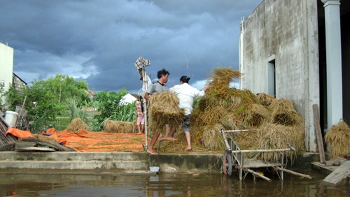 สถานการณ์น้ำท่วมในภาคกลางเวียดนาม - ảnh 1