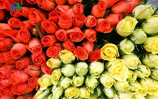 ตลาดดอกไม้ Quảng An ของกรุงฮานอย - ảnh 9