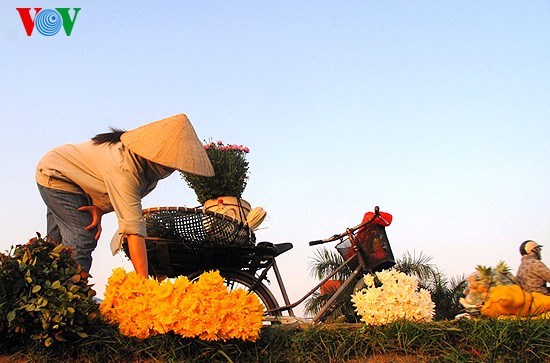 ตลาดดอกไม้ Quảng An ของกรุงฮานอย - ảnh 4