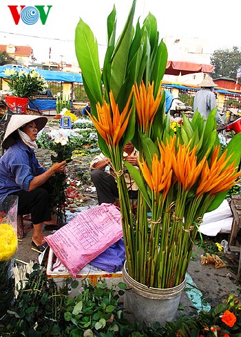 ตลาดดอกไม้ Quảng An ของกรุงฮานอย - ảnh 5