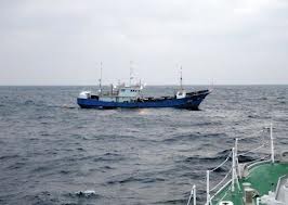 ญี่ปุ่นจับกุมเรือประมงของจีนที่จับปลาอย่างผิดกฏหมายในเขตน่านน้ำญี่ปุ่น - ảnh 1