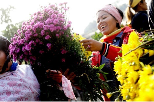 ดอกไม้จากหมู่บ้านต่างๆในกรุงฮานอยเริ่มอวดโฉมสวยงามต้อนรับเทศกาลตรุษเต็ต - ảnh 8