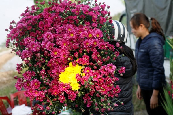 ดอกไม้จากหมู่บ้านต่างๆในกรุงฮานอยเริ่มอวดโฉมสวยงามต้อนรับเทศกาลตรุษเต็ต - ảnh 9