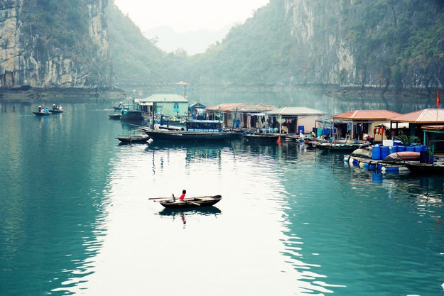 ภาพถ่าย๒๕ภาพเกี่ยวกับความสวยงามของเวียดนาม - ảnh 11