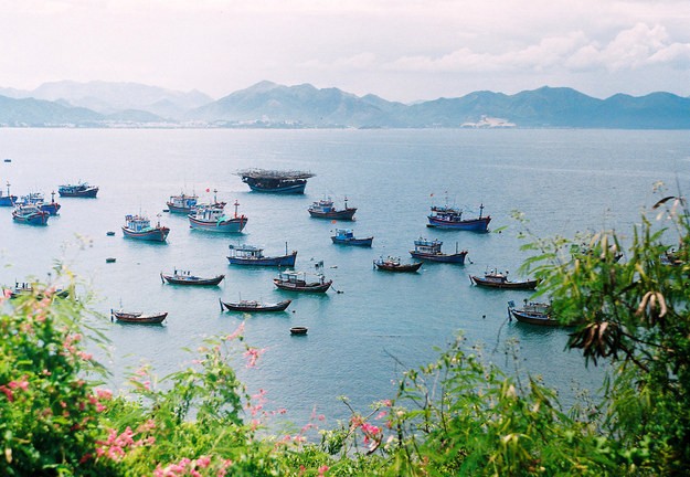 ภาพถ่าย๒๕ภาพเกี่ยวกับความสวยงามของเวียดนาม - ảnh 9