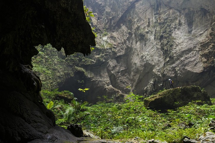 ความงามของถ้ำเซินด่องจากมุมมองของช่างภาพชาวสหรัฐอเมริกา - ảnh 1
