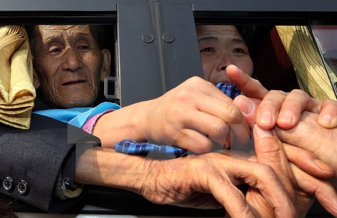 สาธารณรัฐเกาหลีจะผลักดันการเจรจากับเปียงยางภายหลังการพบญาติครอบครัว - ảnh 1