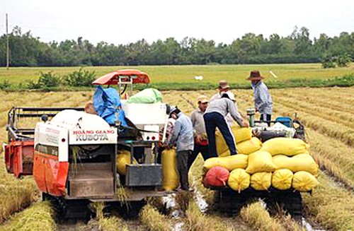เวียดนามปรับปรุงโครงสร้างหน่วยงานการเกษตรเพื่อผสมผสานและพัฒนา - ảnh 2