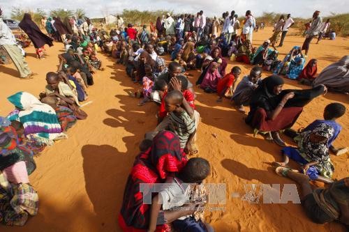 เคนย่าปิดค่ายผู้ลี้ภัยที่ใหญ่ที่สุดในโลก - ảnh 1