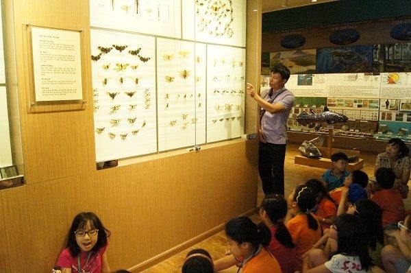 กิจกรรมค้นคว้าธรรมชาติในพิพิธภัณฑ์ธรรมชาติวิทยาเวียดนาม  - ảnh 1