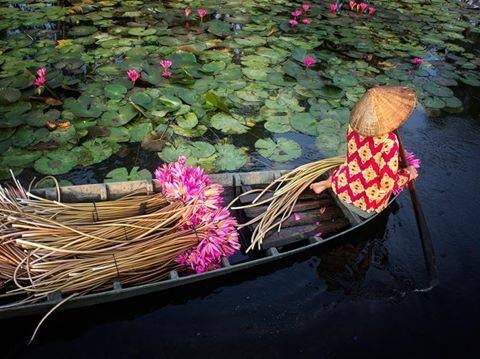 ภาพถ่ายเกี่ยวกับความสวยงามของเวียดนาม - ảnh 6
