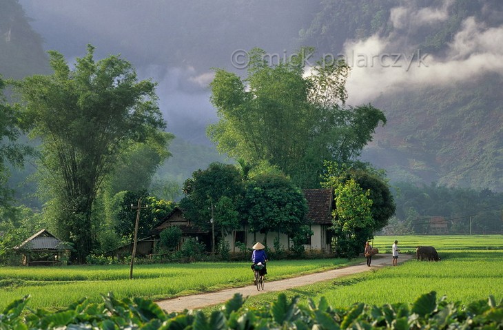 หมู่บ้านและปัจจัยที่สร้างโฉมหน้าของหมู่บ้านเวียดนาม - ảnh 1