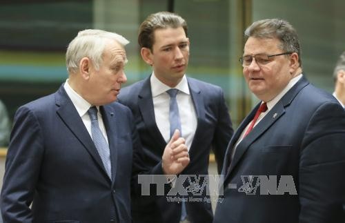 บรรดารัฐมนตรีต่างประเทศของอียูหารือเกี่ยวกับปัญหาผู้อพยพและยูเครน - ảnh 1