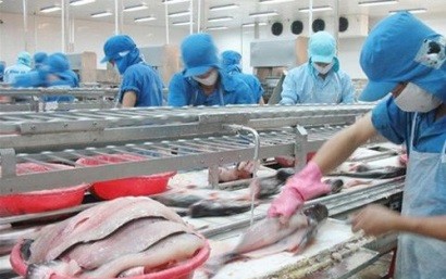 งานแสดงผลิตภัณฑ์จากปลาสวายครั้งแรก ณ กรุงฮานอย - ảnh 1