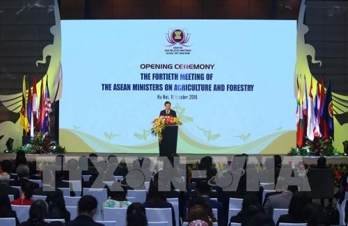 เปิดการประชุมรัฐมนตรีว่าการกระทรวงการเกษตรและป่าไม้อาเซียนครั้งที่40 - ảnh 1