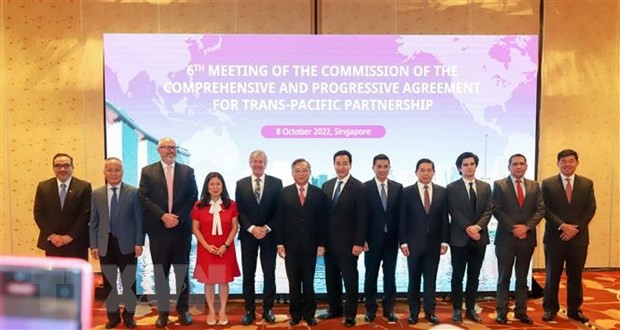 เวียดนามเข้าร่วมการประชุมครั้งที่ 6 สภาข้อตกลง CPTPP - ảnh 1