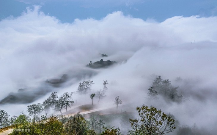 Y Ty cloud hunting season in Lao Cai province - ảnh 10
