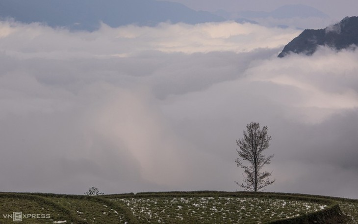 Y Ty cloud hunting season in Lao Cai province - ảnh 8