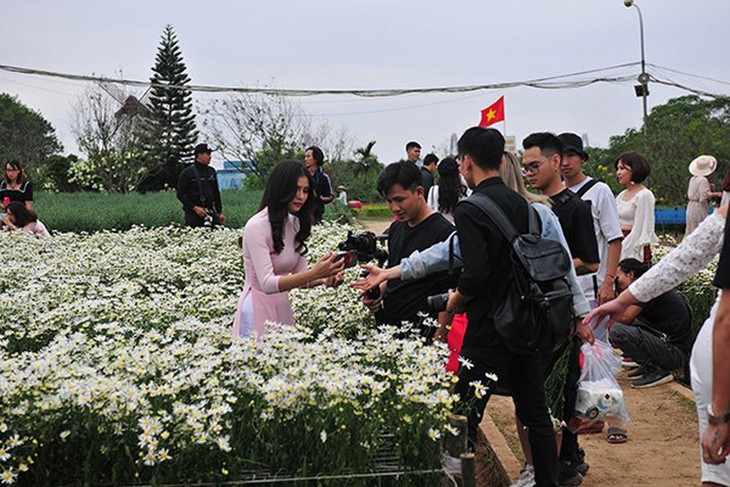 Young people flock to witness ox-eye daisy gardens in Hanoi - ảnh 2
