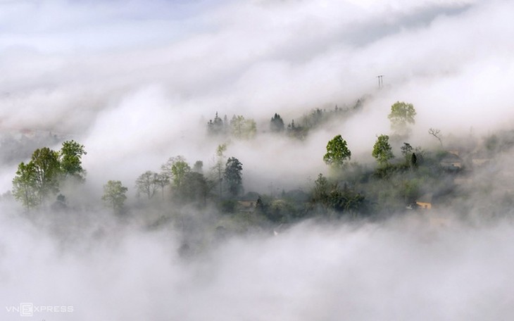 Y Ty cloud hunting season in Lao Cai province - ảnh 3