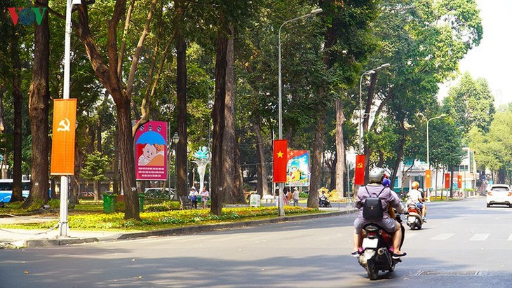 Tet decorations spring up on streets across HCM City - ảnh 8