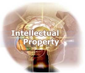 Intellectual Property- an important instrument for innovation - ảnh 1