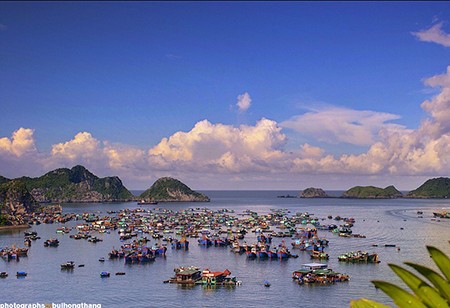 Hai Phong city renews tourist products - ảnh 3