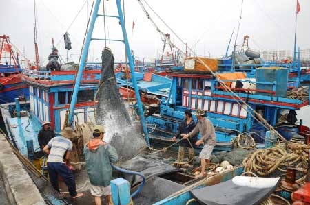 Businesses support offshore fishing activities - ảnh 1
