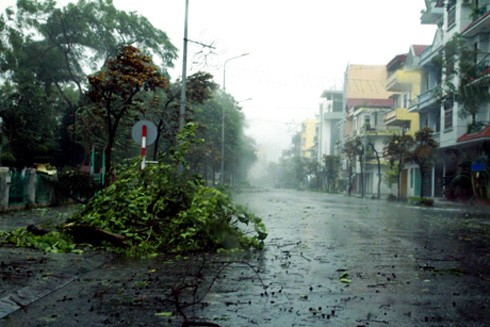 Quang Ninh thoroughly prepares to cope with typhoon Rammasun - ảnh 1
