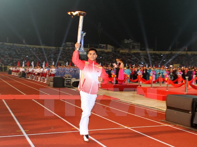 National Sports Festival 2014 opens - ảnh 1