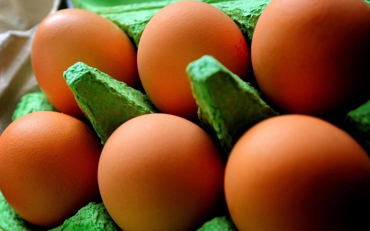 Fipronil contaminated eggs scandal - ảnh 1