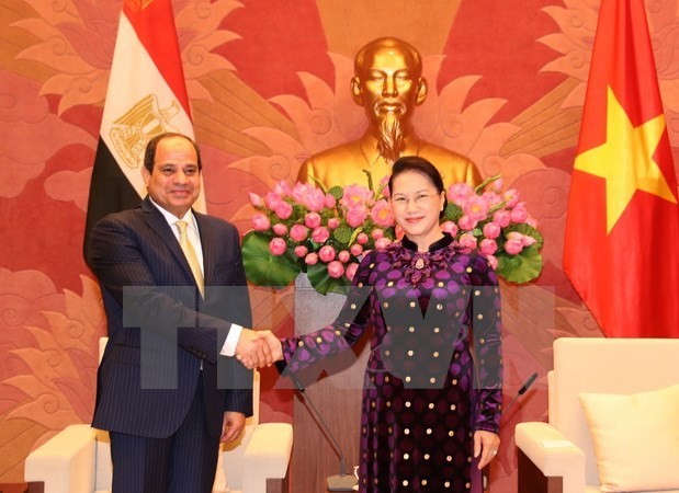 Egypt wants to boost cooperation with Vietnam - ảnh 3