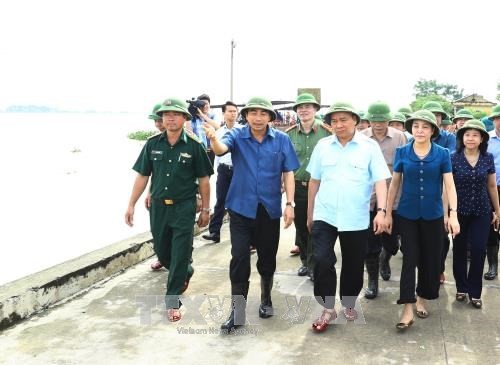 PM inspects flood response in Ninh Binh province  - ảnh 1