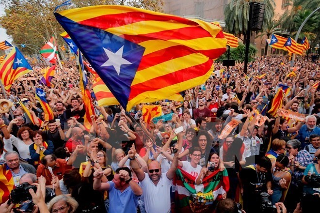 Constitution must be respected for Spain’s unity: spokesperson - ảnh 1