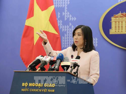Vietnam Foreign Ministry discusses citizen protection - ảnh 1