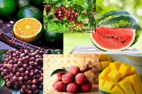 Vietnam’s fruit exporters prosper - ảnh 1