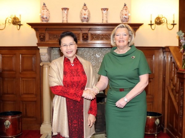 NA leader expects stronger Vietnam-Netherlands relations - ảnh 1