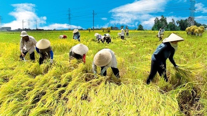 Vietnam’s agriculture exports on track to reach record high - ảnh 1