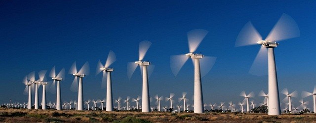 Vietnam sees huge potential for wind power development - ảnh 1