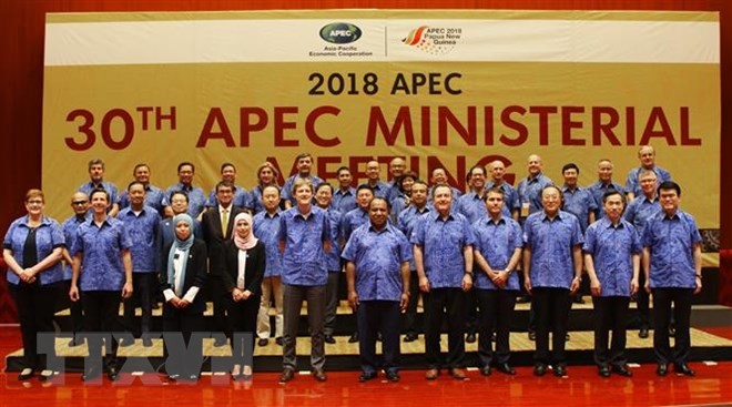 APEC Foreign - Economic Ministers’ Meeting convened  - ảnh 1
