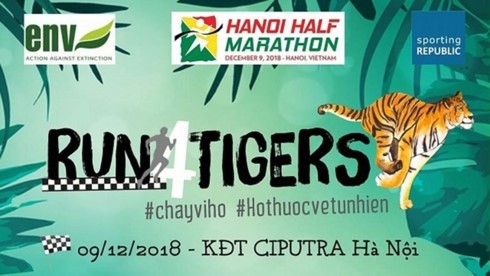 “Run for Tigers” 2018 draws over 750 runners - ảnh 1