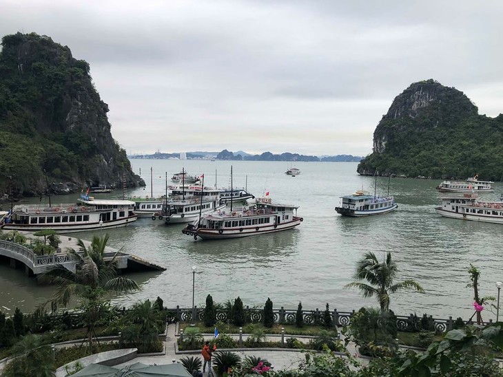 Vietnam among hottest destinations for US travelers in 2019 - ảnh 1