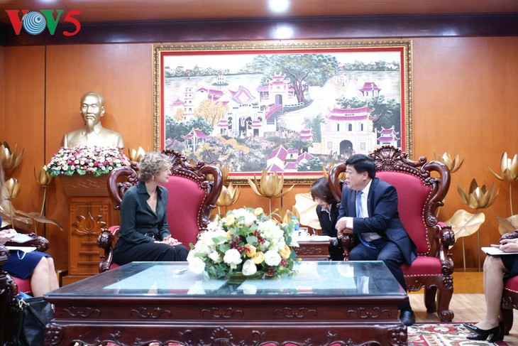 Vietnam, Netherlands strengthen media cooperation - ảnh 1