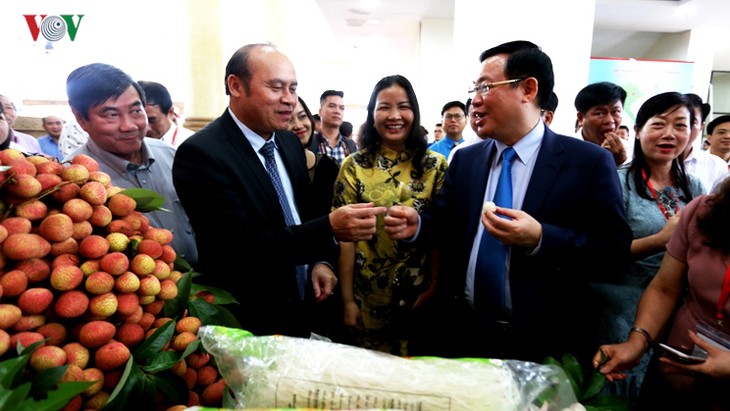 Seminar on promoting Bac Giang litchis opens - ảnh 1