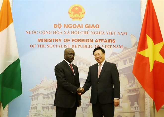 Vietnam values ties with Ivory Coast: Deputy PM - ảnh 1